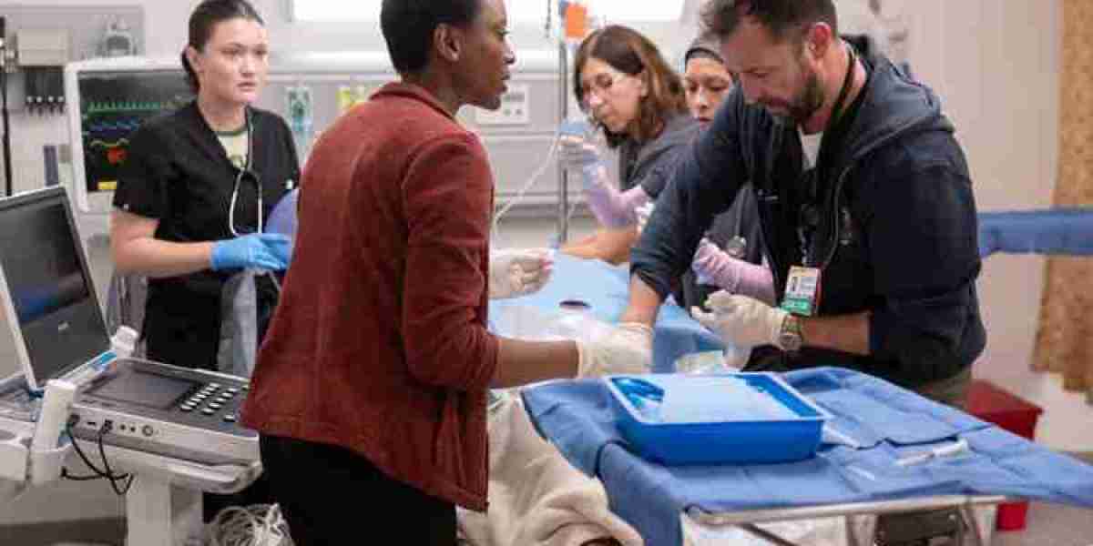 HBO Max Expands Procedural Dramas