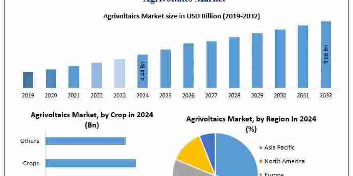 ﻿﻿﻿Agrivoltaics Market Growth Trends, Forecast Scenarios, and Key Opportunities (2025–2032)