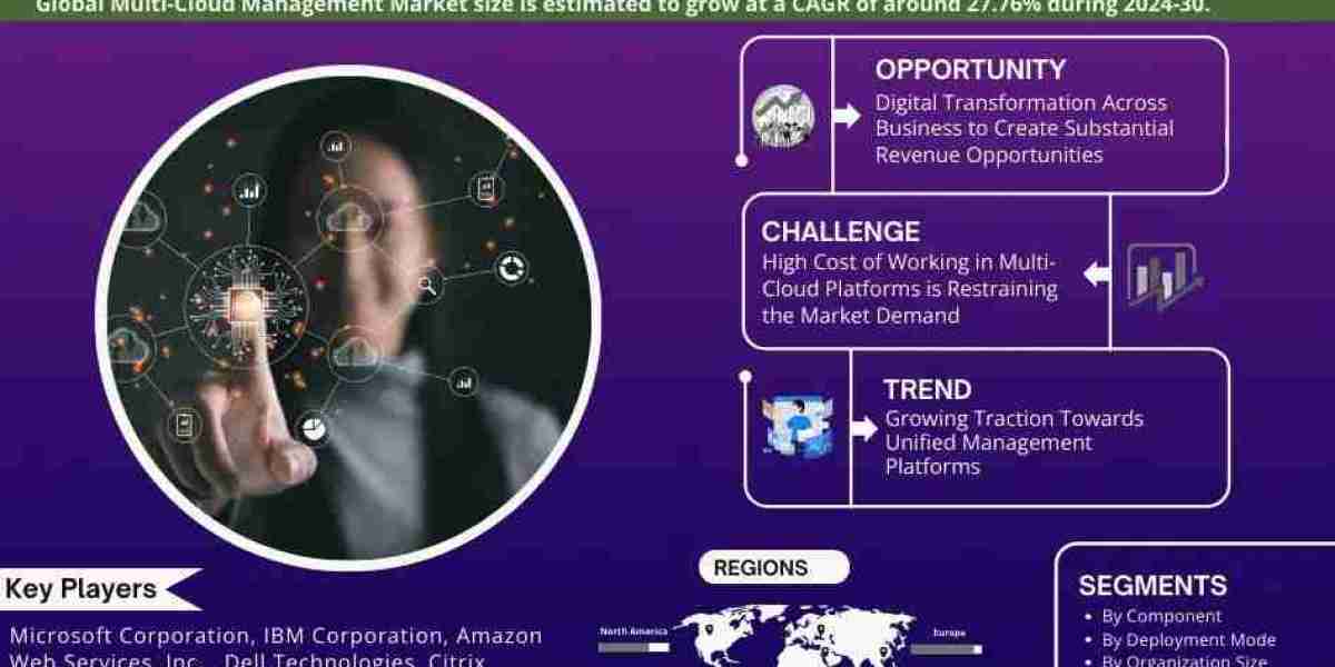 Multi-Cloud Management Market Analysis and Growth Forecast by 2030