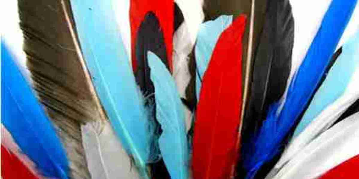 Why Top Designers Choose Ostrich Feathers for Luxury Fashion