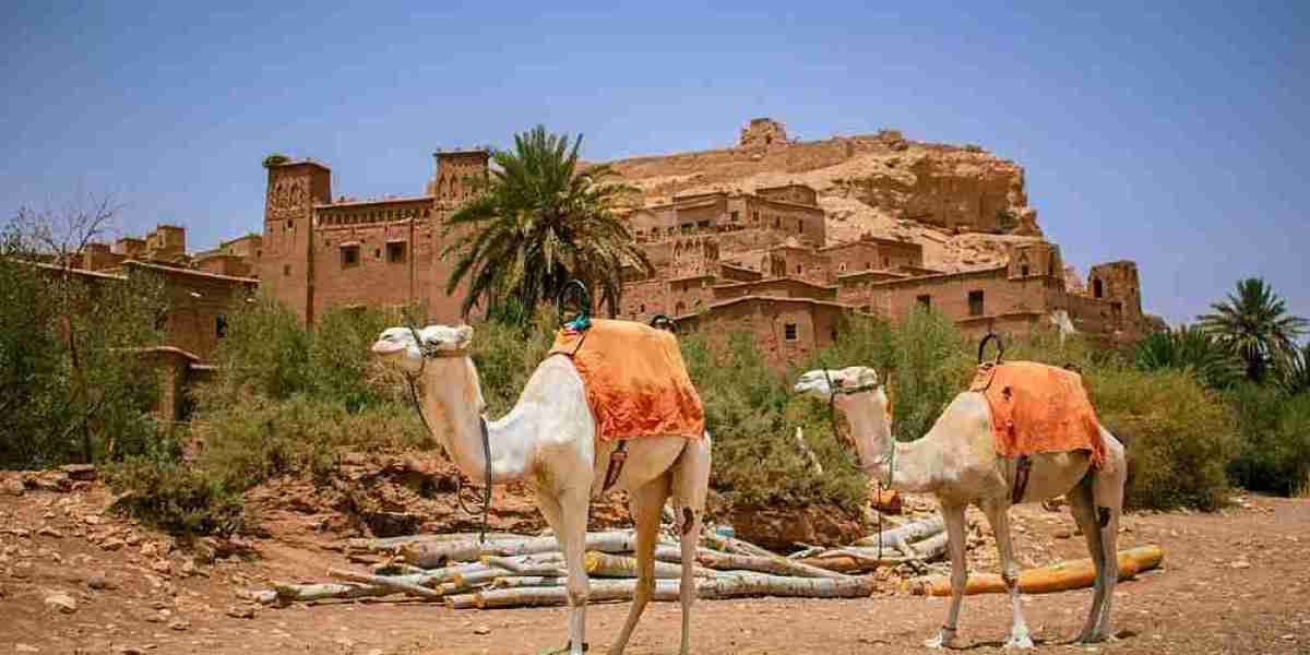 Explore Morocco with Private Tours: Customize Your Experience