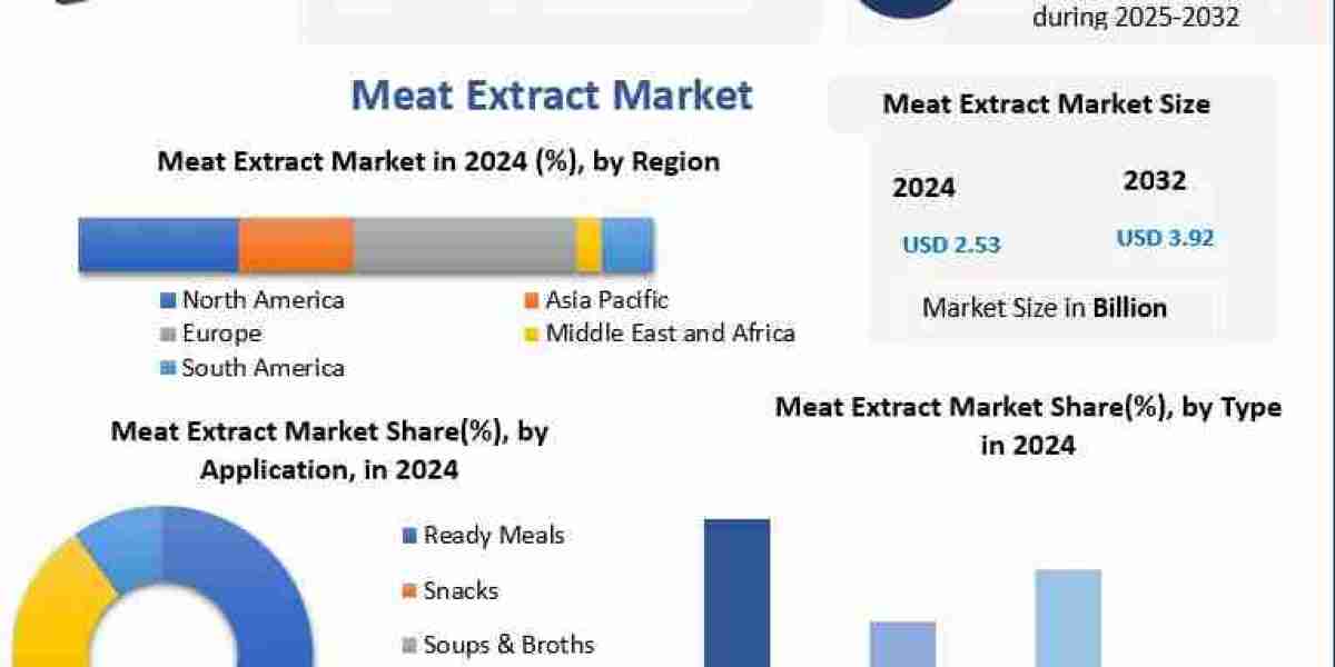 Meat Extract Market Analysis: Competitive Landscape and Key Market Players