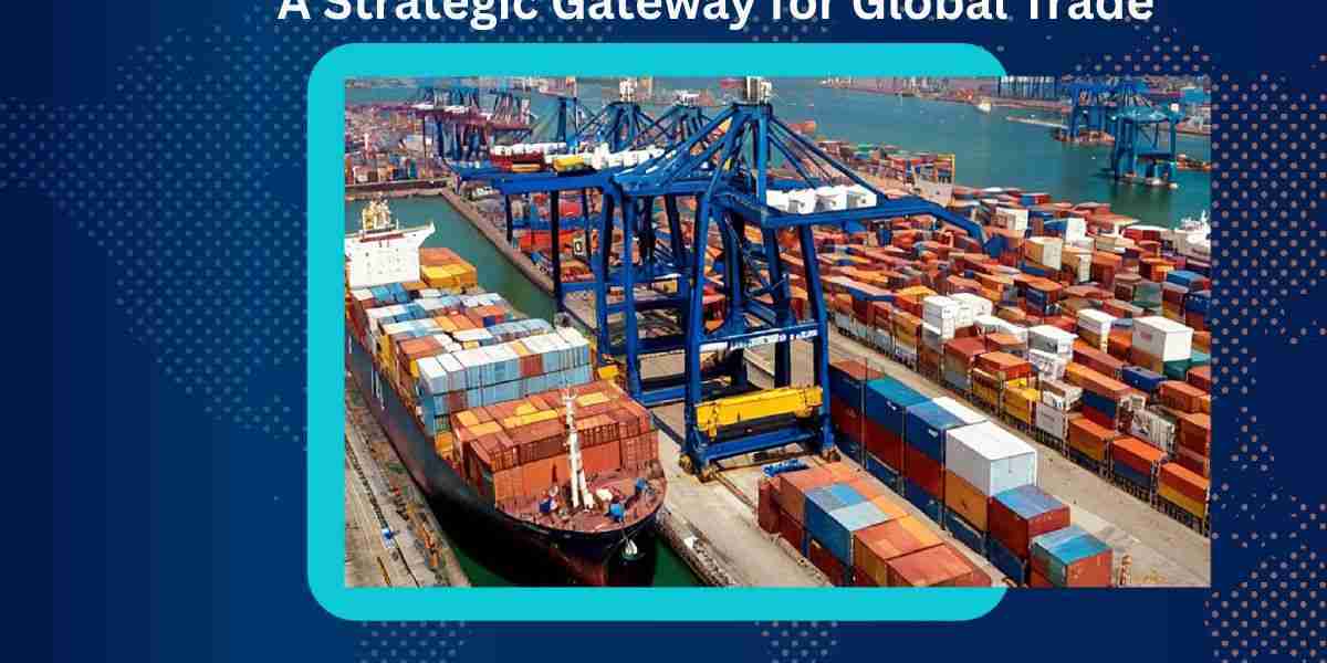 Airfreight & Air Cargo in the Netherlands: A Strategic Gateway for Global Trade