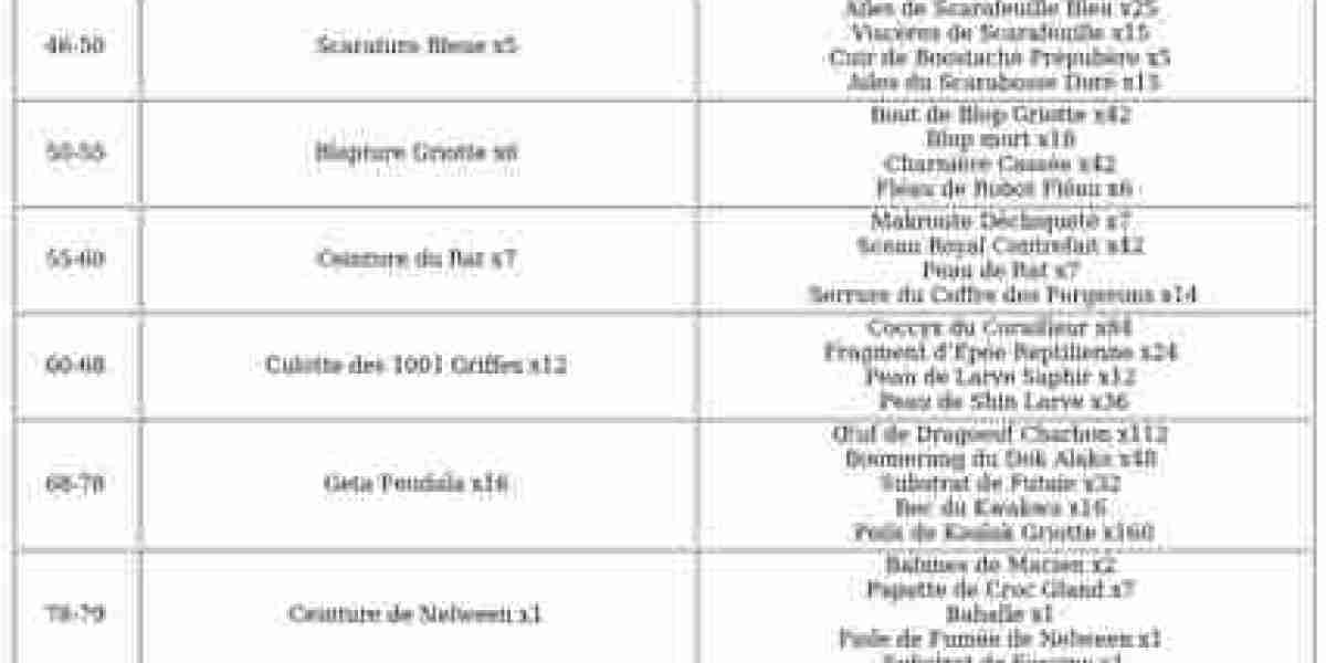 Cordonnier Dofus Unity – Guide XP et rentabilité [2025]