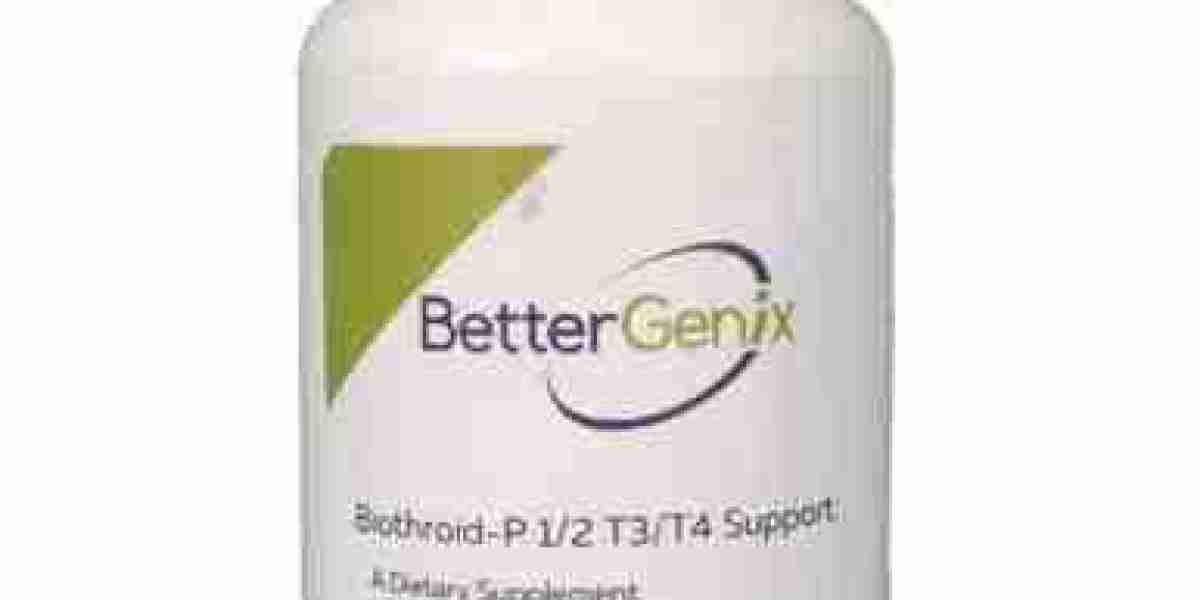 The Ultimate Beginner’s Where Worlds Meet Guide to Starting Your Adventure