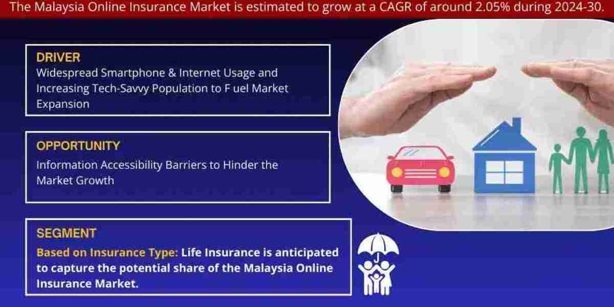 Malaysia Online Insurance Market Analysis and Growth Forecast by 2030