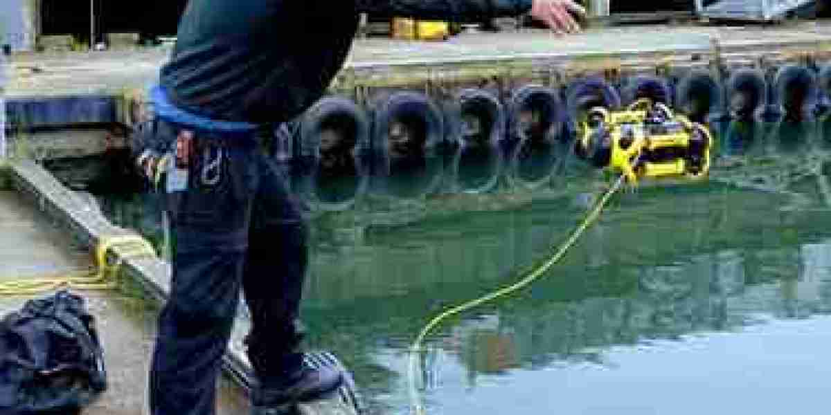 Find Seawall Contractors Near Me | Professional Seawall Repair & Maintenance