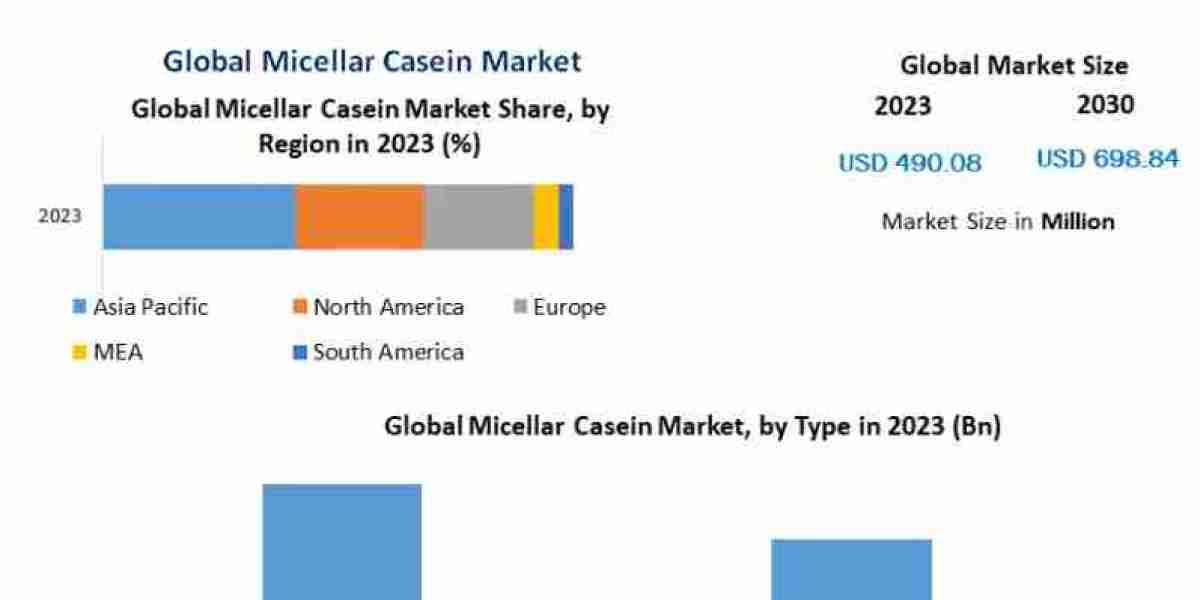 Micellar Casein Market Analysis: Growth of High-Protein and Functional Food Products