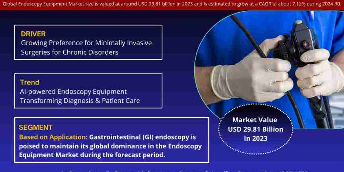 Endoscopy Equipment Market Size, Insights, Growth Rate, Trends Analysis and Forecast To 2030
