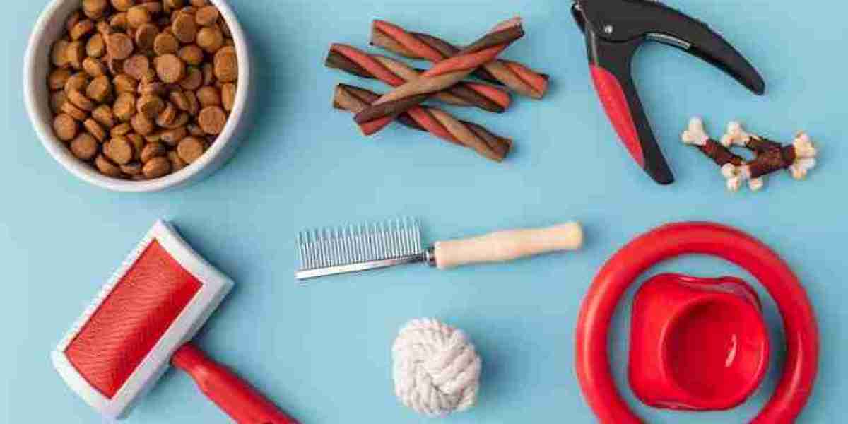 Essential Cruelty-Free Pet Care Tips for a Healthy Home