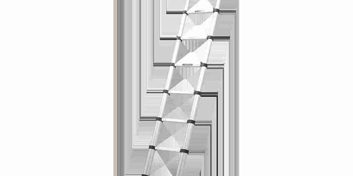 Design Features and Functional Anatomy of a Modern Telescopic Ladder