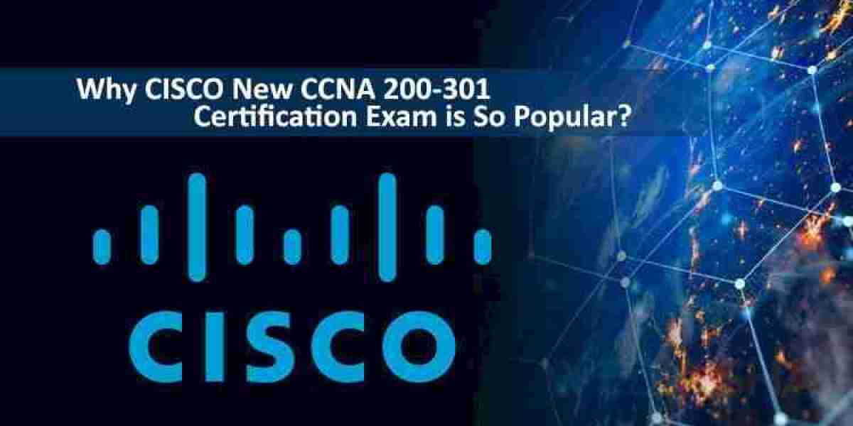 CCNA Classes in Pune That Shape You into a Confident Network Professional