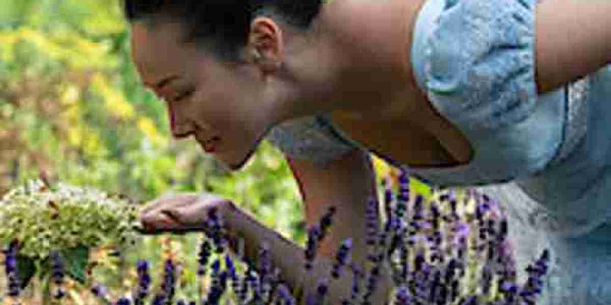 Winter Retreat: Thompson and Ha's Romance Unfolds