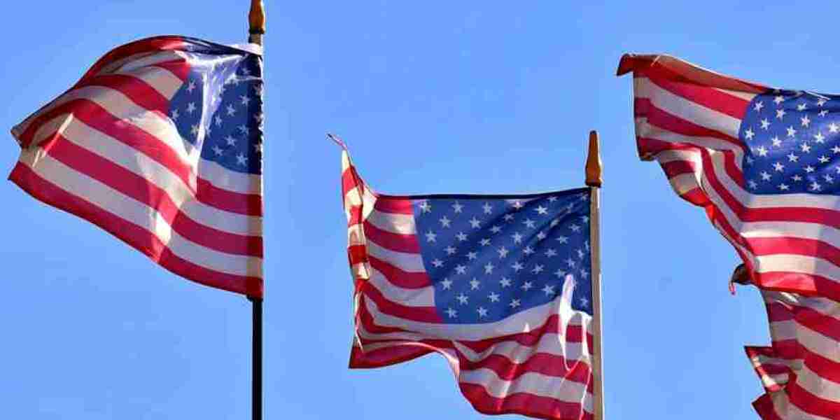 United States Steps Back—Digital Rights Alliance Shifts