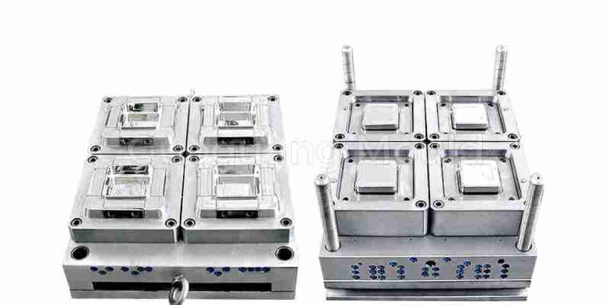 Ensuring Longevity and Performance of a Plastic Compartment Lunch Box Mould