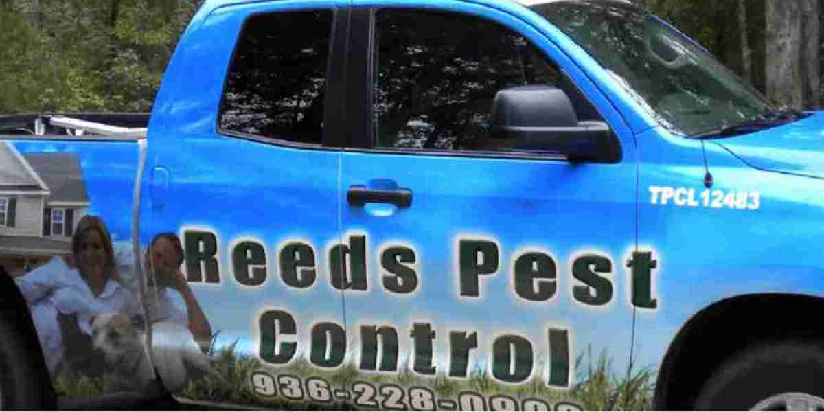 Protecting Your Home Year-Round: Expert Pest Solutions by Reed's Pest Control LLC