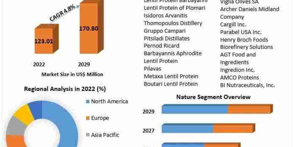 Lentil Protein Market to Reach US$ 170.80 Mn by 2029, Growing at a CAGR of 4.8%