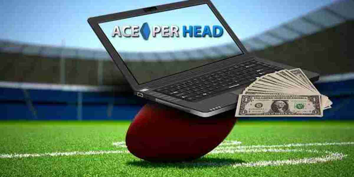 Streamlining Your Bookie Business with NFL Football Betting Software