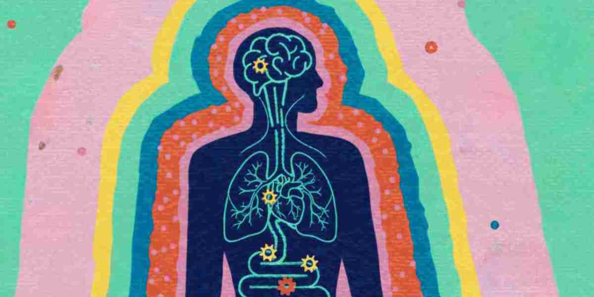 GP Contract Updates: What NHS Reform Means for Patients and Doctors