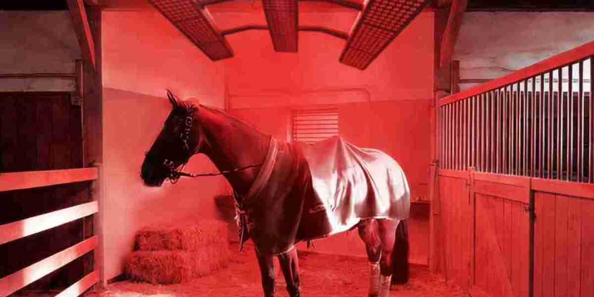 Red Light Therapy Blanket Manufacturers: Transforming Equine Wellness