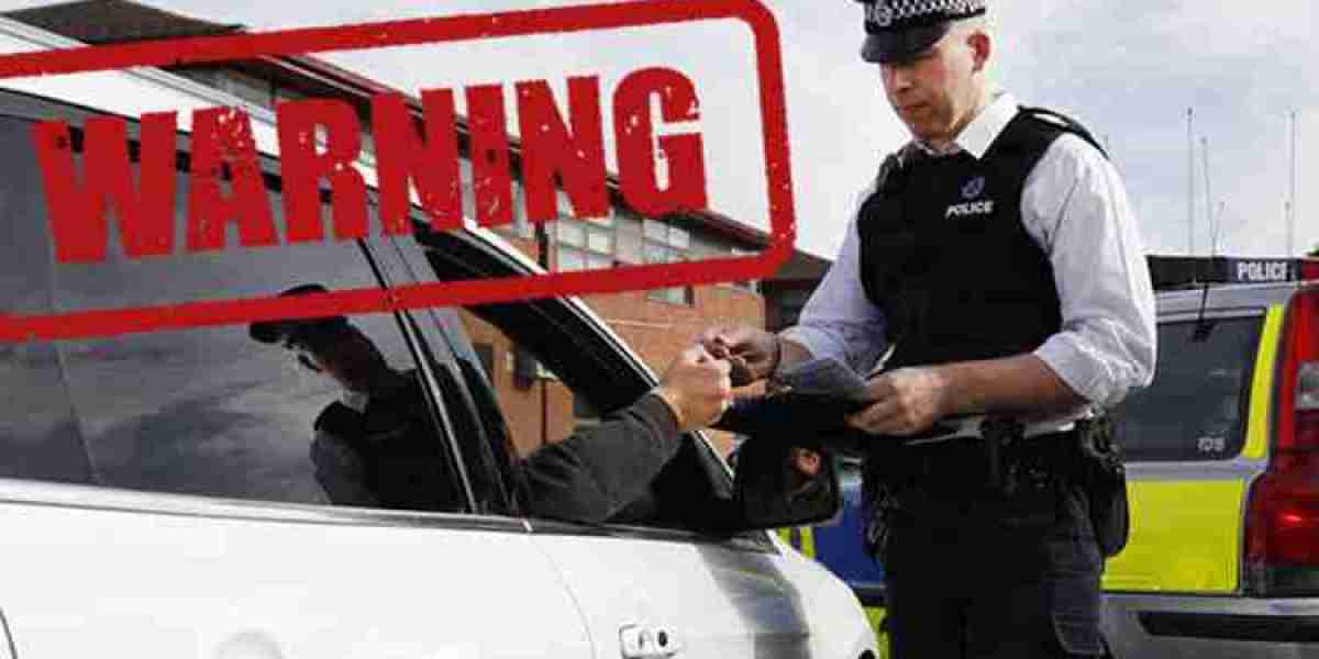 The Immediate Crisis of a Roadside Arrest