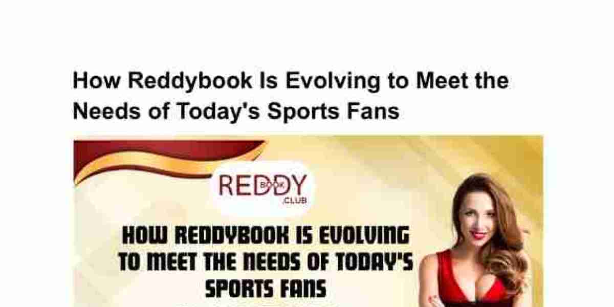 Exploring the Features That Keep Reddybook Popular Across Sports Seasons