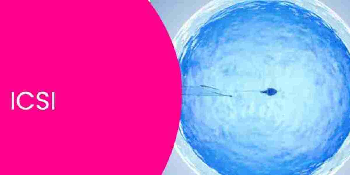 Best IUI Treatment in Delhi at the Best IVF Centre in Delhi – Laimaa Healthcare