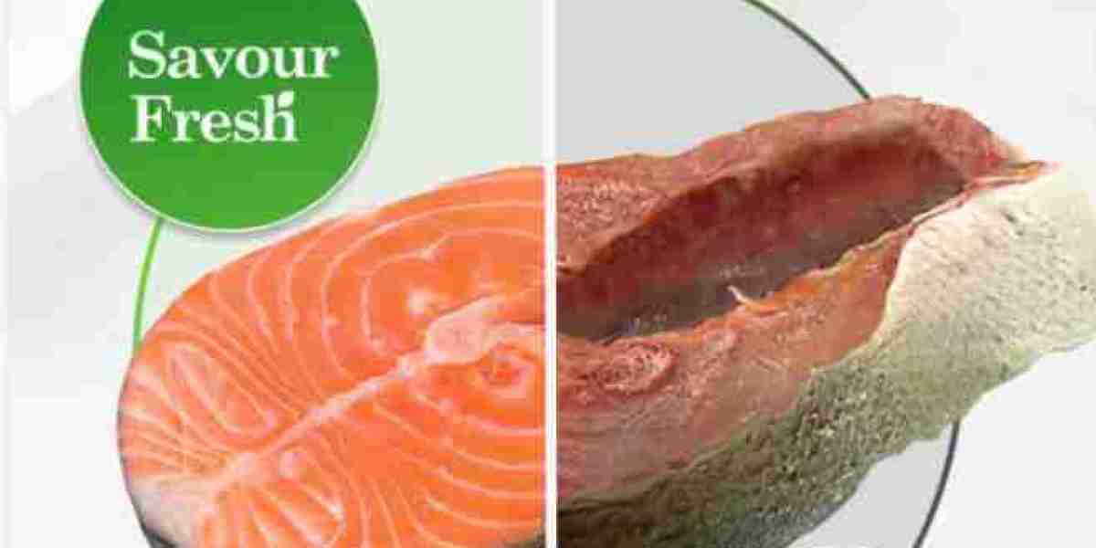 SavourFresh Vacuum Sealer