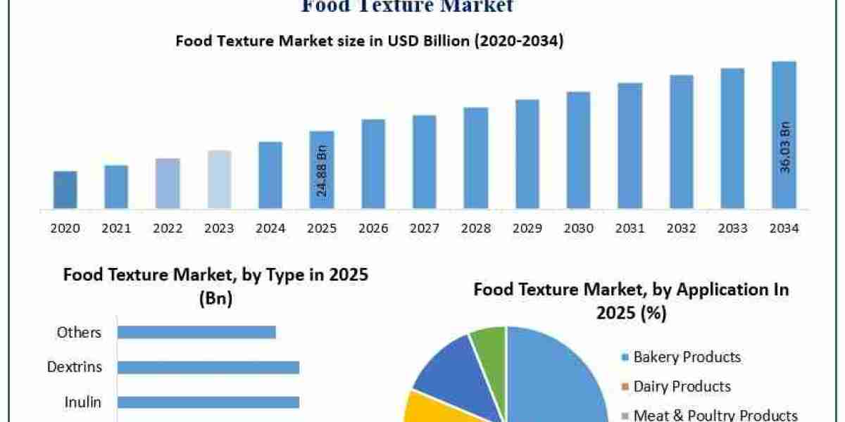 Food Texture Market Forecast Fueled by Processed Food Demand and Innovation