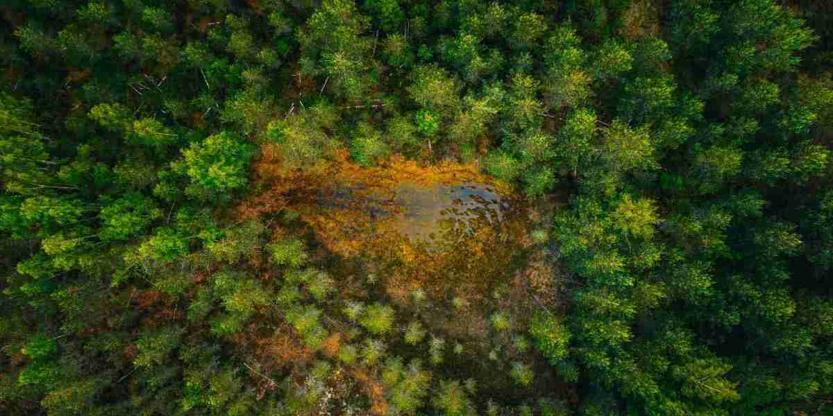 Forest Risk Commodity Advisory Jaipur