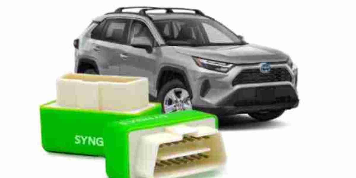 SynGas OBD Fuel Saver Mexico