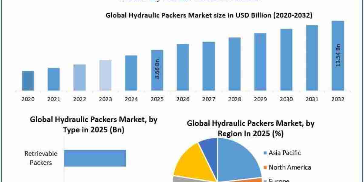 Hydraulic Packers Market: Strategic Insights and Global Market Forecast