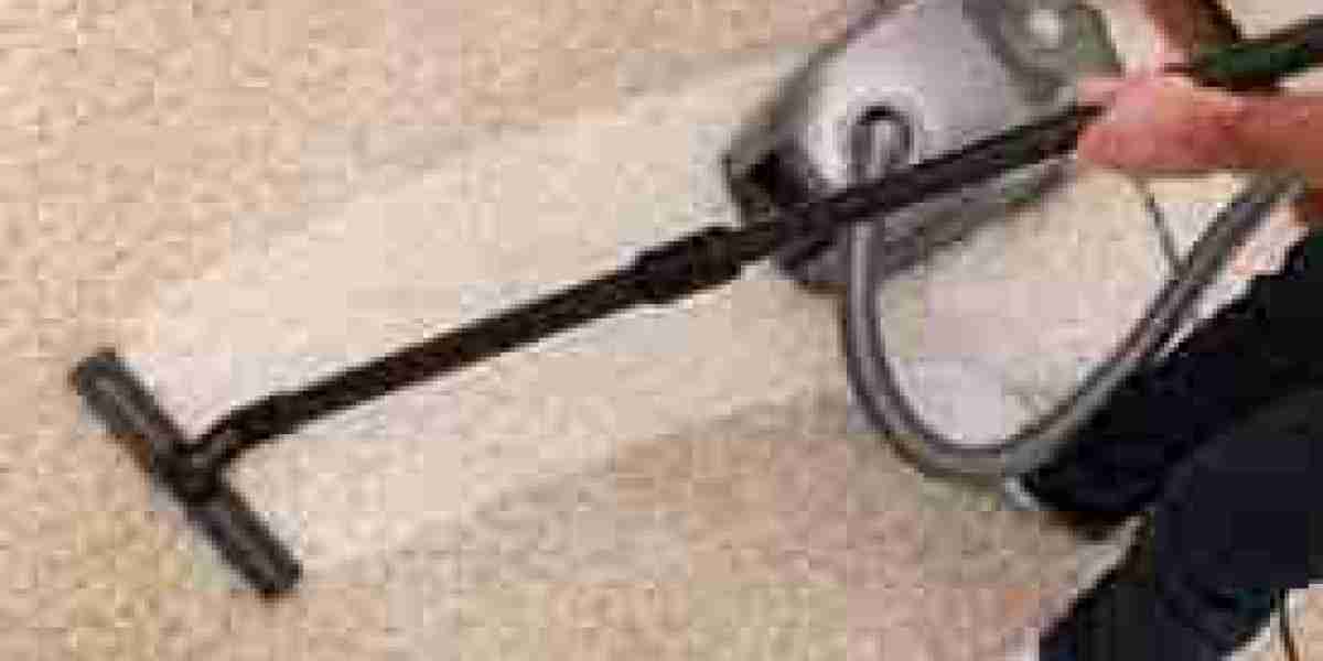 Carpet Cleaning Services Supporting Homes That Require Deep Care