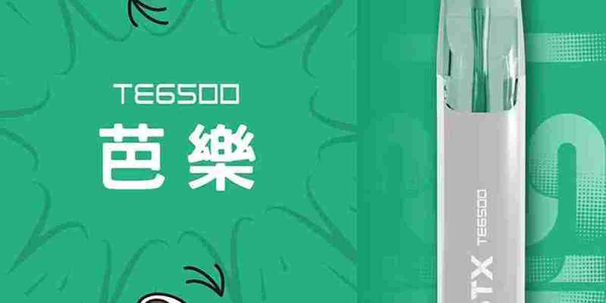 MISTX TE6500 的使用技巧與建議