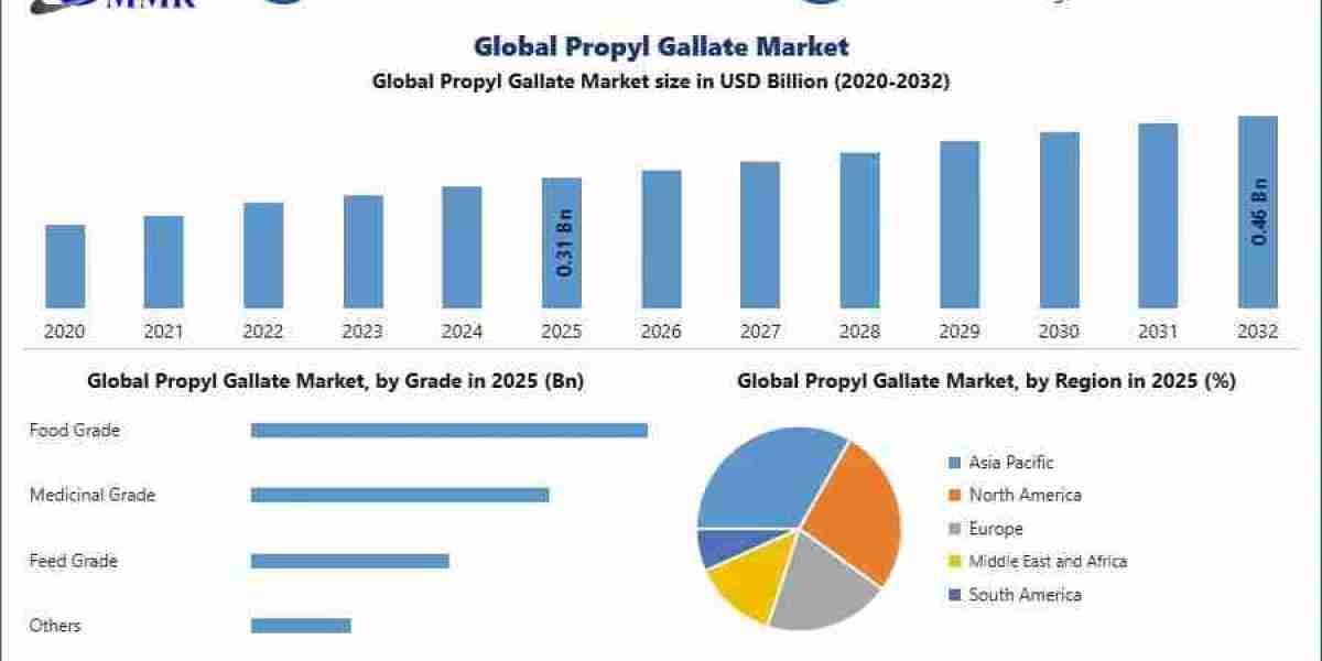 Propyl Gallate Industry Gains Momentum from Expanding Applications