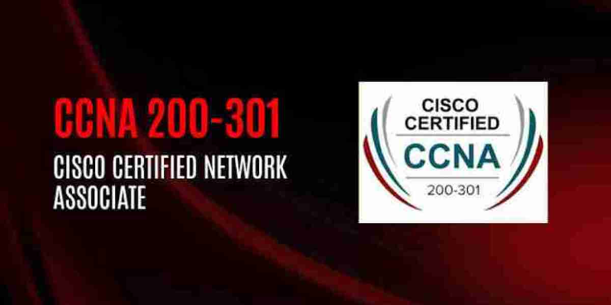 CCNA Course in Pune | Build a Strong Career in Networking with WebAsha Technologies