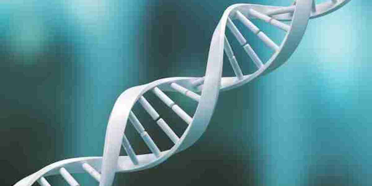 Age Shield NAD Booster US CA UK: Uncovering Facts Versus