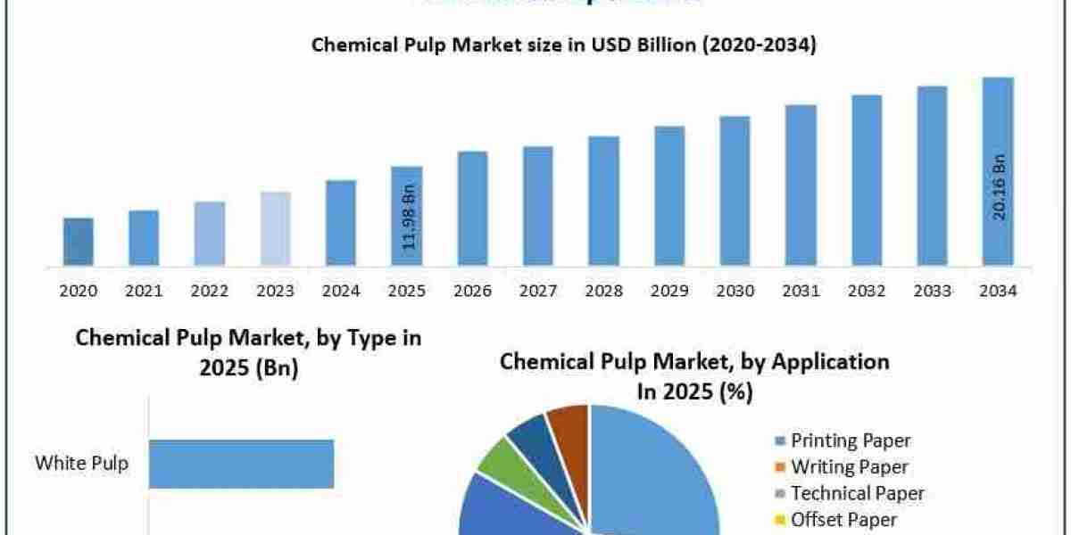 Global Chemical Pulp Market Advances Across Key Packaging Applications