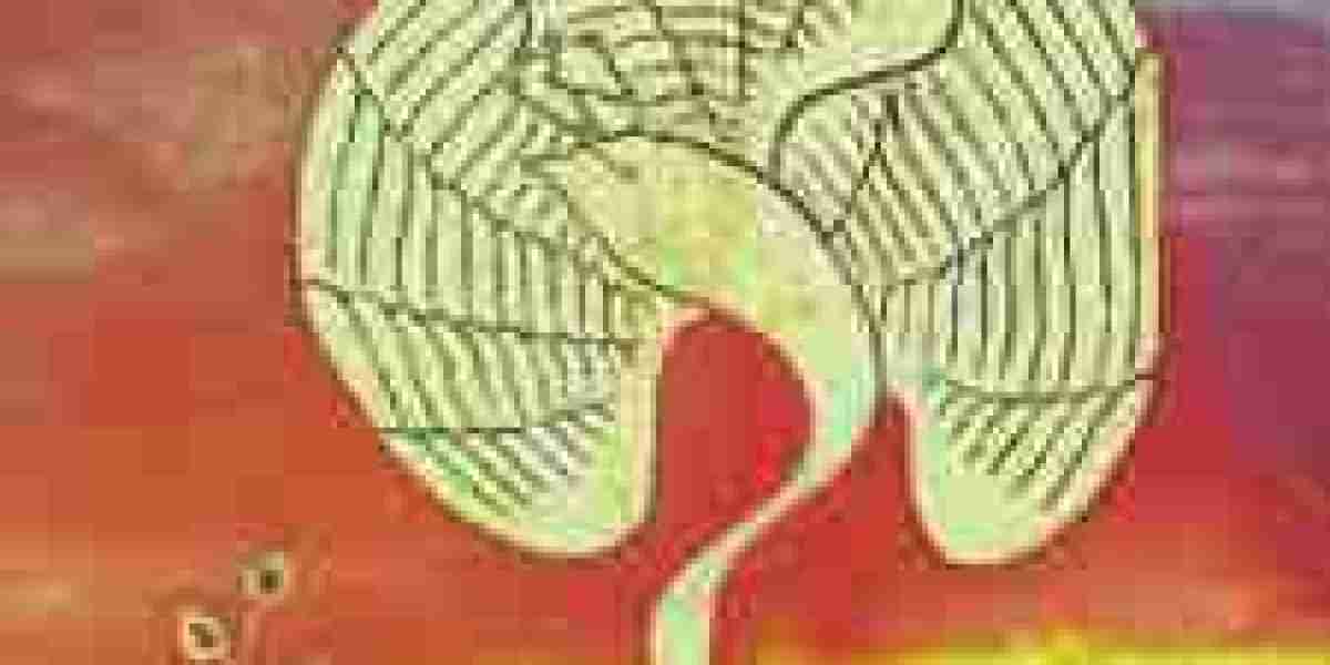 Best Astrologer Los Angeles: How to Choose the Right Astrology Reading