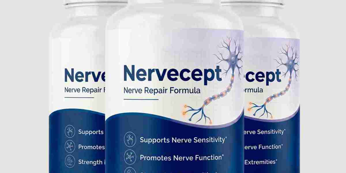 Nervecept: A Complete Guide to Nerve Health Support