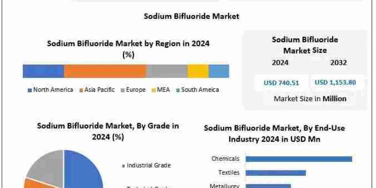 Global Sodium Bifluoride Market Research: Regional Insights and Competitive Analysis – Report by MMR