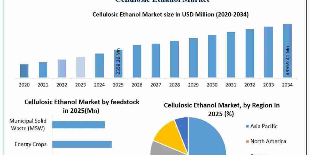 Cellulosic Ethanol Market: Strategic Insights, Competitive Trends and Future Growth