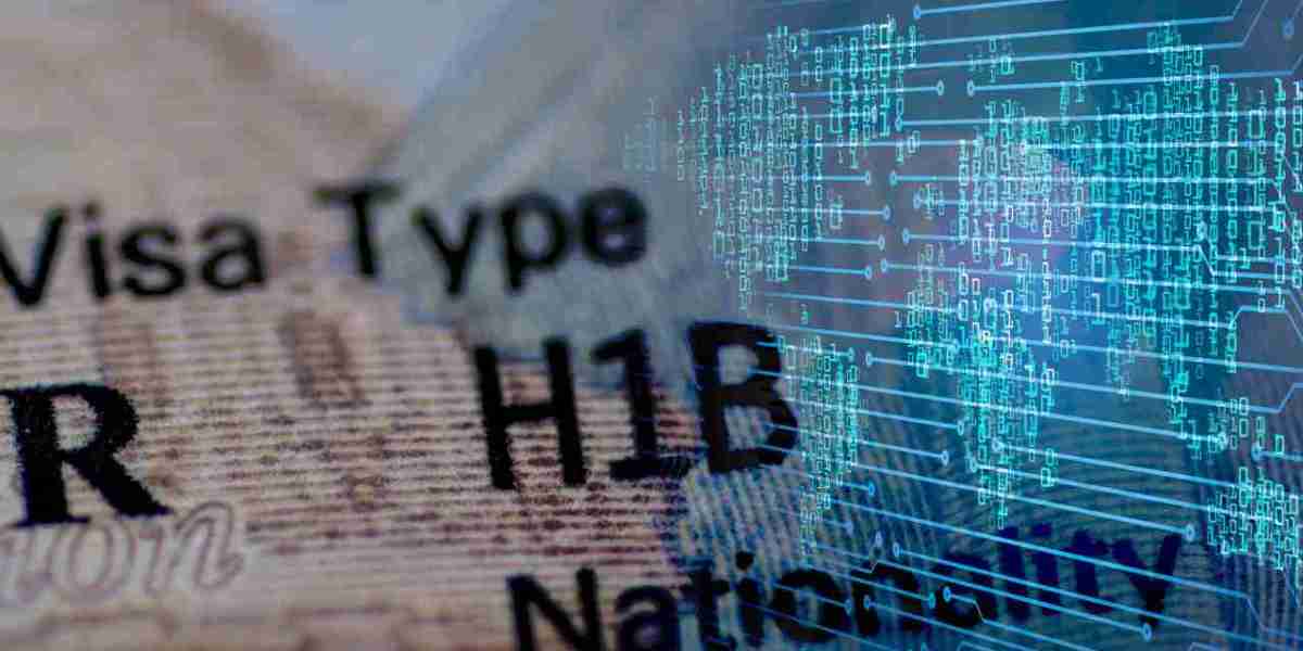 Beyond Writing Code: How to Document a Software Development and Testing Role for an H-1B Visa