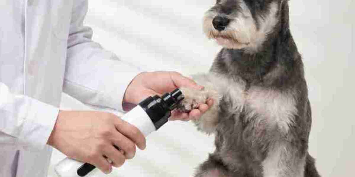 https://www.facebook.com/groups/getsilenttrimdognailtrimmer/